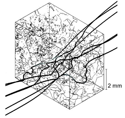 3-D surface rendering of a wet snow sample with fluid flow streamline.